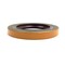 Chelsea Seal, Oil, Pto, 2627 In. X 1750 In. X 312 In. 28-P-267 - alternate 2